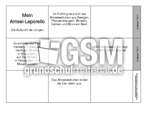 Leporello-Amsel-Aufzucht-ohne-Fotos.pdf